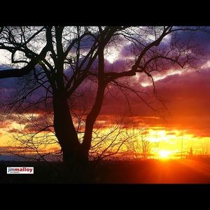 Meet your Posher, Marnie